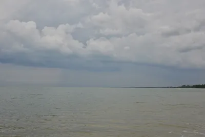 DSC_5445 (Large).JPG